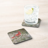 Ensemble de six dessous de verre cardinaux (Côté Droit)