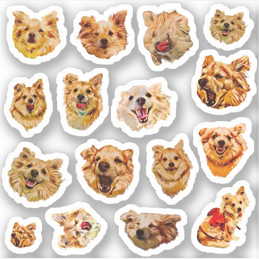 Ensemble de stickers de chien (Devant)