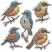 Ensemble de stickers d'oiseaux chanteurs de printe (Devant)