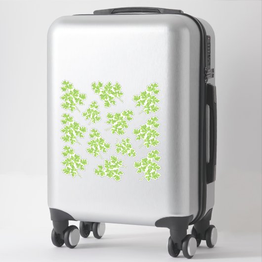 Ensemble de stickers en persil (Sur valise)