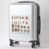 Ensemble de stickers vinyle découpés sur mesure de (Sur valise)