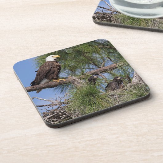 Ensemble des dessous de verre E10 et E11 (Côté gauche)