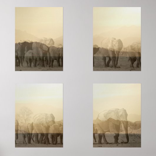 Ensemble d'impression de troupeau d'éléphants au c (Recto)