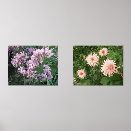 Ensemble d'impressions de photos de fleurs de deux (Recto)