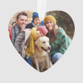 Ensemble et Joyeux vacances de la verdure Photo (dos)