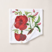 Ensemble rouge vintage de serviette de Bath de (Gant de toilette)