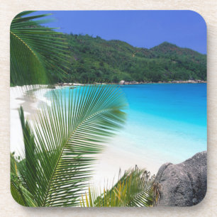 Ensemble tropical de dessous de verre de plage de