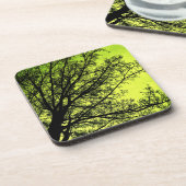 Ensemble vert de dessous de verre de liège de (Côté gauche)