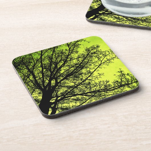 Ensemble vert de dessous de verre de liège de (Côté gauche)