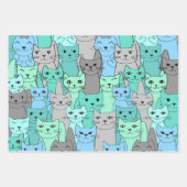 Ensembles de papier d'enveloppement pour chats ver (Devant 3)