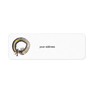 Enso, Harmony in Earth Tones Etiket