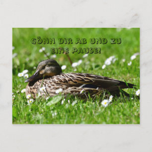 Ente auf einer Wiese Postkarte Briefkaart