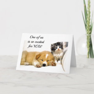 *** ENTHOUSIAST KITTEN *** voor U RIJBEWIJS KRIJGT Kaart