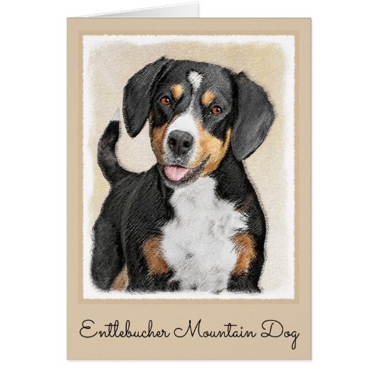 Entlebucher Mountain Dog Peinture - Art original (Devant)