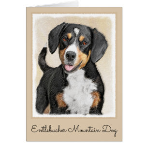 Entlebucher Mountain Dog schilderen - Originele ku