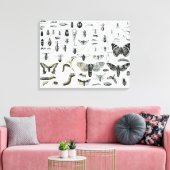 Entomologie Canvas Afdruk (Insitu (Woonkamer))