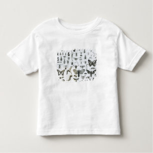 Entomologie Kinder Shirts