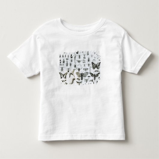 Entomologie Kinder Shirts (Voorkant)
