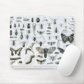 Entomologie Muismat (Met muis)