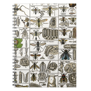 Entomologie Notitieboek