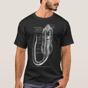 entomologie regenwormanatomie t-shirt