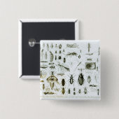 Entomologie Vierkante Button 5,1 Cm (Voorkant /achterkant)