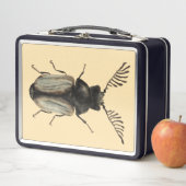 Entomologiekunst van wolkeverinsecten (In situ)