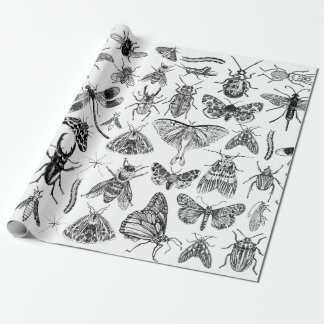 Entomologiepapierbuisjes snijtouw cadeaupapier