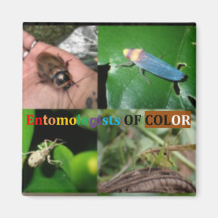 Entomologiste des Magnets de couleur