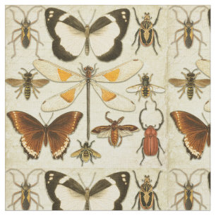 Entomology Butterfly snijdt oud papier in Stof