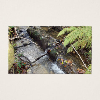 Entorno Natural Tarjeta Visita Visitekaartjes