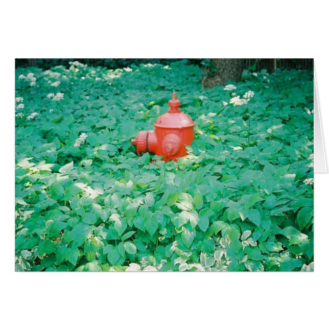 Entouré (Devant horizontal)