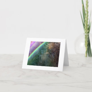 Entrance to Rainbow Bridge Kaart