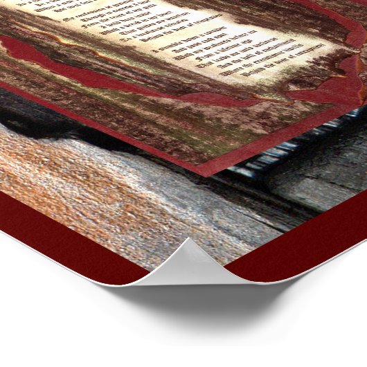 Entrapment Poster (Hoek)