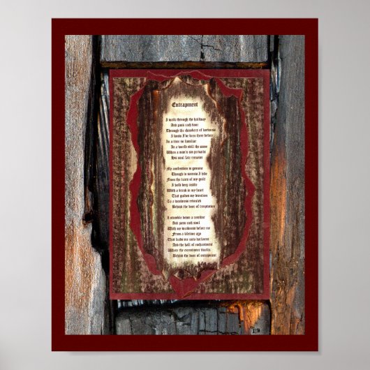 Entrapment Poster (Voorkant)