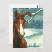 Entre amis Wild Horse Carte postale (Devant / Derrière)