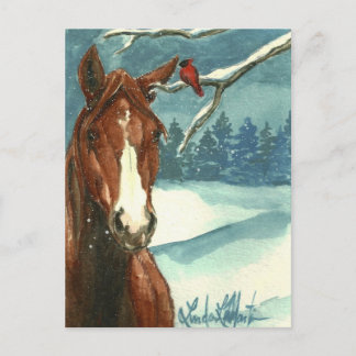 Entre amis Wild Horse Carte postale