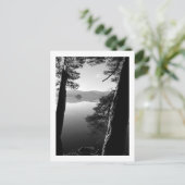 Entre les pins, carte postale Keswick (Debout devant)