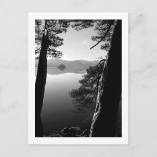 Entre les pins, carte postale Keswick
