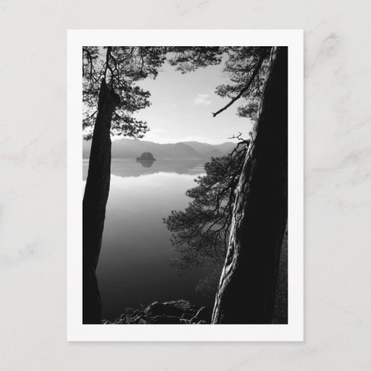 Entre les pins, carte postale Keswick (Devant)
