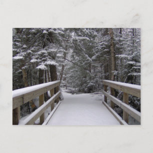 Entrée - New Hampshire Snow Scene Carte Postale
