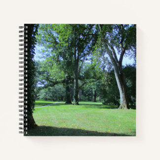Entrer dans le cahier de Greenwood