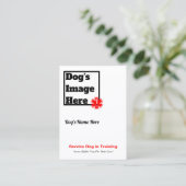 Entretenez le chien dans la carte de collection de (Debout devant)