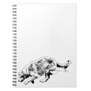 Entry-Hook Favoriet, Ideeën Binnenin Notitieboek