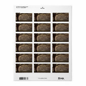 Enveloppé dans des Étiquettes de adresse de brouil (Feuille entière)