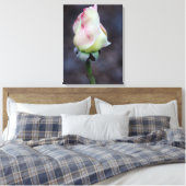 Enveloppe de toile rose (Insitu(Chambre))