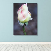 Enveloppe de toile rose (Insitu (Plancher de Bois))
