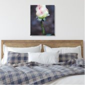 Enveloppe de toile rose (Insitu(Chambre))