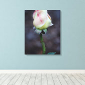 Enveloppe de toile rose (Insitu (Plancher de Bois))