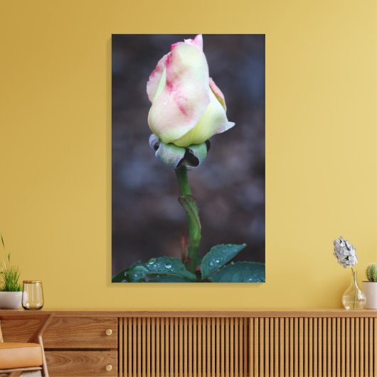 Enveloppe de toile rose (Insitu(Salon))